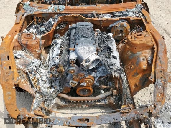 ✅ 2017 Ford Mustang GT • VIN: 1FA6P8CF6H5313546 • Лот: 66254825. Опубликован ранее на Copart с пробегом Не указан. Бесплатный доступ к архиву аукционных продаж из США и подробный отчёт об истории автомобиля на DreamBid. Изображение 11.