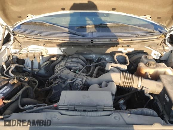 ✅ 2013 Ford F-150 XL • VIN: 1FTEX1CM2DFC36545 • Lot: 70958805. Listed on Copart with 182,845 mi. Free auction sales archive from the USA and detailed vehicle history report at DreamBid. Image 11.