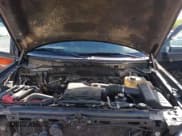 ✅ 2010 Ford F-150 XL • VIN: 1FTEX1EW2AFA18163 • Lot: 42295077. Listed on IAAI with 217,430 mi. Free auction sales archive from the USA and detailed vehicle history report at DreamBid. Image 10.