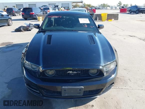 ✅ 2013 Ford Mustang GT Premium • VIN: 1ZVBP8CF1D5255006 • Lot: 43548689. Listed on IAAI with 73,340 mi. Free auction sales archive from the USA and detailed vehicle history report at DreamBid. Image 13.