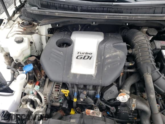 ✅ 2016 Hyundai Veloster Turbo • VIN: KMHTC6AE6GU271645 • Lot: 77475734. Wystawiony na Copart z przebiegiem 117 963 mil. Bezpłatny archiwum sprzedaży aukcyjnych z USA i szczegółowy raport historii pojazdu na DreamBid. Zdjęcie 11.