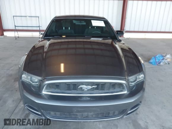 ✅ 2014 Ford Mustang Premium • VIN: 1ZVBP8AM5E5332494 • Лот: 43377150. Опубликован ранее на IAAI с пробегом 119 029 миль. Бесплатный доступ к архиву аукционных продаж из США и подробный отчёт об истории автомобиля на DreamBid. Изображение 12.