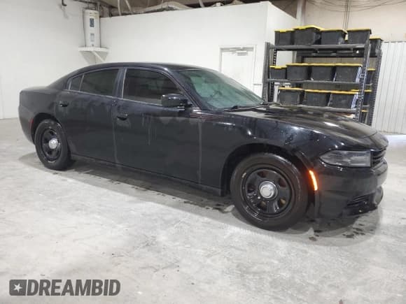 ✅ 2019 Dodge Charger Police • VIN: 2C3CDXAG4KH570253 • Lot: 86527235. Wystawiony na Copart z przebiegiem 81 350 mil. Bezpłatny archiwum sprzedaży aukcyjnych z USA i szczegółowy raport historii pojazdu na DreamBid. Zdjęcie 4.