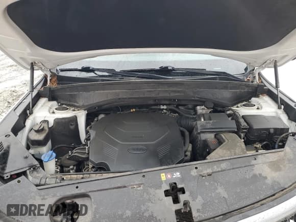 ✅ 2020 Kia Telluride SX • VIN: 5XYP54HC1LG026000 • Лот: 90013145. Опубликован ранее на Copart с пробегом 176 539 миль. Бесплатный доступ к архиву аукционных продаж из США и подробный отчёт об истории автомобиля на DreamBid. Изображение 12.