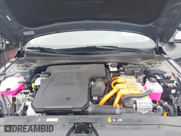 ✅ 2025 Hyundai Elantra Blue • VIN: KMHLM4DJ7SU136659 • Лот: 43184090. Опубликован ранее на IAAI с пробегом 17 519 миль. Бесплатный доступ к архиву аукционных продаж из США и подробный отчёт об истории автомобиля на DreamBid. Изображение 10.