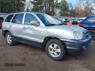 2005 Hyundai Santa Fe GLS z VIN KM8SC13D95U917986, wystawiony jako IAAI lot #41423901 z przebiegiem 163 885 mil mil oraz . Historia ofert i sprzedaży dostępna na DreamBid. Obrazek 1.