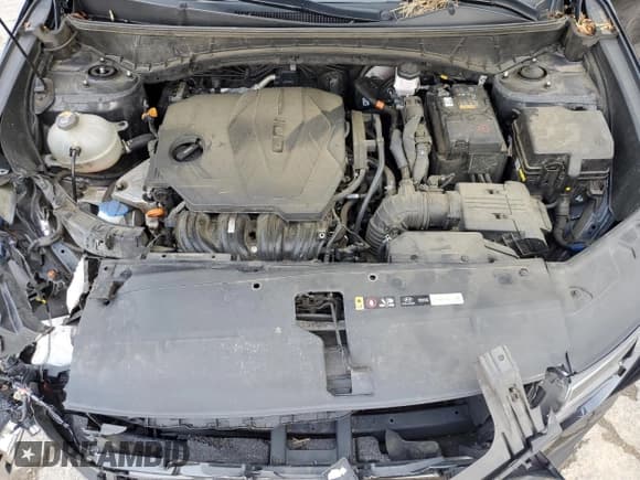 ✅ 2023 Hyundai Tucson N Line • VIN: KM8JF3AE4PU254520 • Lot: 58559485. Wystawiony na Copart z przebiegiem 107 340 mil. Bezpłatny archiwum sprzedaży aukcyjnych z USA i szczegółowy raport historii pojazdu na DreamBid. Zdjęcie 12.