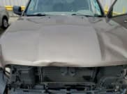 ✅ 2009 Dodge 1500 SLT • VIN: 1D3HB18P59S796449 • Lot: 45138825. Wystawiony na Copart z przebiegiem Nie podano. Bezpłatny archiwum sprzedaży aukcyjnych z USA i szczegółowy raport historii pojazdu na DreamBid. Zdjęcie 11.