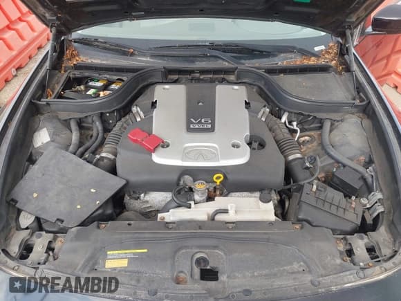 ✅ 2010 Infiniti G37 x • VIN: JN1CV6AR5AM251379 • Lot: 42964860. Wystawiony na IAAI z przebiegiem 139 208 mil. Bezpłatny archiwum sprzedaży aukcyjnych z USA i szczegółowy raport historii pojazdu na DreamBid. Zdjęcie 10.