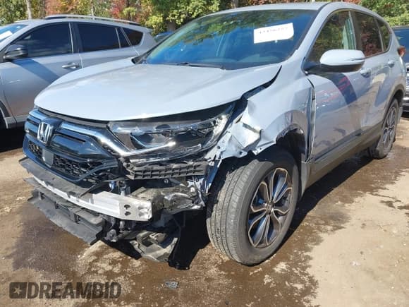 ✅ 2022 Honda CR-V EX-L • VIN: 7FARW2H87NE039483 • Lot: 43456257. Listed on IAAI with 14,369 mi. Free auction sales archive from the USA and detailed vehicle history report at DreamBid. Image 6.