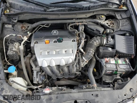 ✅ 2009 Acura TSX • VIN: JH4CU26669C013774 • Lot: 90277585. Listed on Copart with 97,025 mi. Free auction sales archive from the USA and detailed vehicle history report at DreamBid. Image 11.