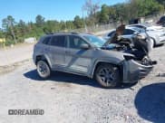 ✅ 2019 Jeep Cherokee Trailhawk • VIN: 1C4PJMBX1KD251067 • Lot: 43497885. Wystawiony na IAAI z przebiegiem 110 215 mil. Bezpłatny archiwum sprzedaży aukcyjnych z USA i szczegółowy raport historii pojazdu na DreamBid. Zdjęcie 1.