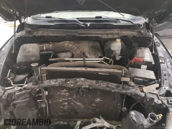 2009 Dodge 1500 SLT z VIN 1D3HV18T79S809190, wystawiony jako Copart lot #81925014 z przebiegiem 204 957 mil mil oraz Nie do naprawy • Non repairable. Historia ofert i sprzedaży dostępna na DreamBid. Obrazek 11.