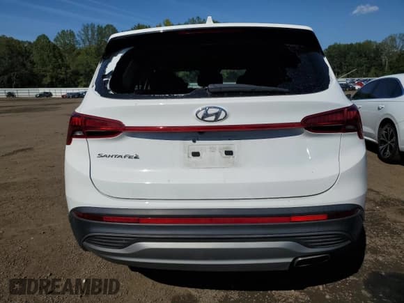 ✅ 2023 Hyundai Santa Fe SE • VIN: 5NMS14AJ6PH624268 • Lot: 70753555. Wystawiony na Copart z przebiegiem 30 018 mil. Bezpłatny archiwum sprzedaży aukcyjnych z USA i szczegółowy raport historii pojazdu na DreamBid. Zdjęcie 6.