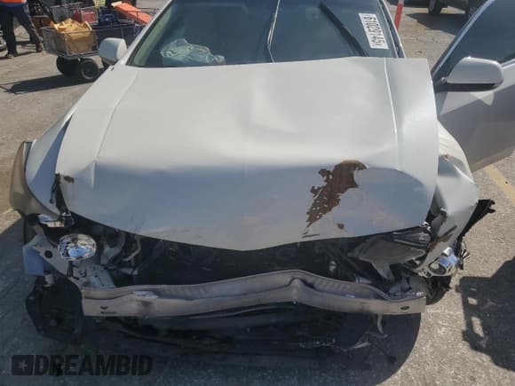 ✅ 2009 Acura TSX • VIN: JH4CU26659C025270 • Lot: 61029145. Listed on Copart with Not provided. Free auction sales archive from the USA and detailed vehicle history report at DreamBid. Image 11.