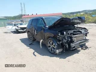 2022 Hyundai Palisade Limited с VIN KM8R5DHE7NU455570, выставлен на аукционе IAAI как лот 43164348 с пробегом 58 301 миль миль и . История ставок и продаж доступна на DreamBid. Изображение 1.