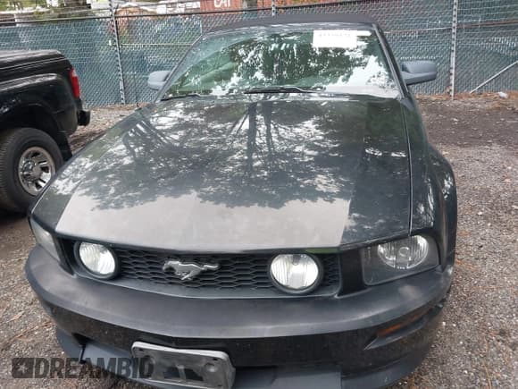 ✅ 2008 Ford Mustang GT Deluxe • VIN: 1ZVHT85H085183404 • Lot: 43339571. Listed on IAAI with 93,306 mi. Free auction sales archive from the USA and detailed vehicle history report at DreamBid. Image 12.