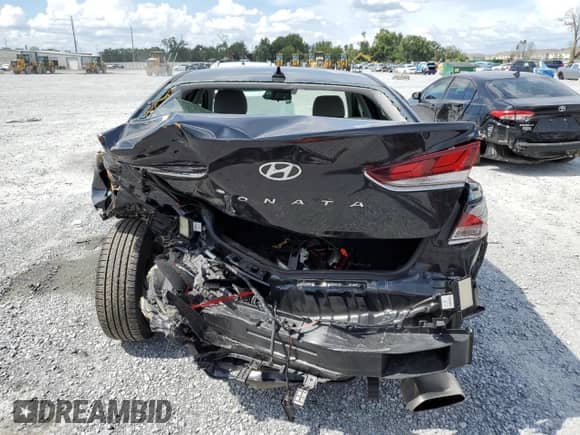 2019 Hyundai Sonata SEL with VIN 5NPE34AF6KH765405, listed as a Copart auction lot 66511985 with 43,213 mi miles and Non repairable. Bid and sale history available at DreamBid. Image 6.