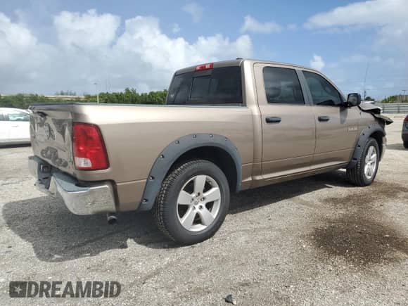 2009 Dodge 1500 SLT z VIN 1D3HB13P79S741105, wystawiony jako Copart lot #77383134 z przebiegiem 183 546 mil mil oraz Nie do naprawy • Non repairable. Historia ofert i sprzedaży dostępna na DreamBid. Obrazek 3.