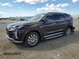 ✅ 2025 Hyundai Palisade SEL • VIN: KM8R24GE0SU828227 • Lot: 86900725. Wystawiony na Copart z przebiegiem 13 569 mil. Bezpłatny archiwum sprzedaży aukcyjnych z USA i szczegółowy raport historii pojazdu na DreamBid. Zdjęcie 1.