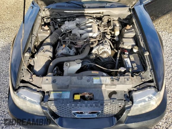 ✅ 2004 Ford Mustang Deluxe • VIN: 1FAFP44414F125267 • Lot: 74595714. Listed on Copart with Not provided. Free auction sales archive from the USA and detailed vehicle history report at DreamBid. Image 11.