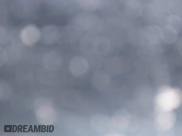 2006 Dodge Dakota SLT with VIN 1D7HW42N36S589968, listed as a IAAI auction lot 41623888 with 174,464 mi miles and . Bid and sale history available at DreamBid. Image 10.