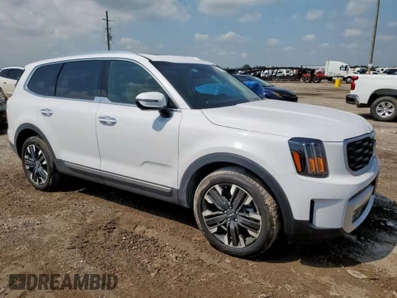 ✅ 2024 Kia Telluride SX • VIN: 5XYP54GCXRG544701 • Lot: 58526005. Listed on Copart with 7,969 mi. Free auction sales archive from the USA and detailed vehicle history report at DreamBid. Image 4.
