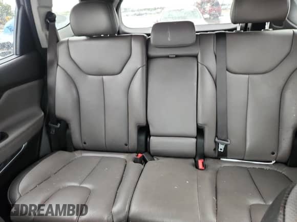 2019 Hyundai Santa Fe Limited with VIN 5NMS53AAXKH116764, listed as a Copart auction lot 81682785 with 106,885 mi miles and Salvage title. Bid and sale history available at DreamBid. Image 10.