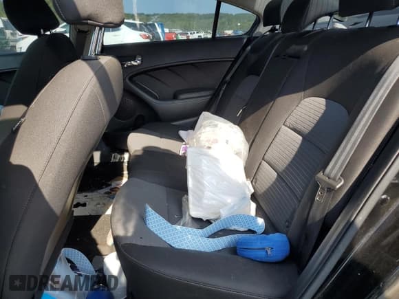 ✅ 2015 Kia Forte LX • VIN: KNAFX4A63F5392805 • Lot: 65951225. Wystawiony na Copart z przebiegiem Nie podano. Bezpłatny archiwum sprzedaży aukcyjnych z USA i szczegółowy raport historii pojazdu na DreamBid. Zdjęcie 10.