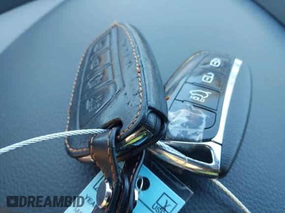 ✅ 2017 Hyundai Santa Fe Ultimate • VIN: 5XYZW4LA3HG425669 • Lot: 43610742. Listed on IAAI with 106,617 mi. Free auction sales archive from the USA and detailed vehicle history report at DreamBid. Image 11.