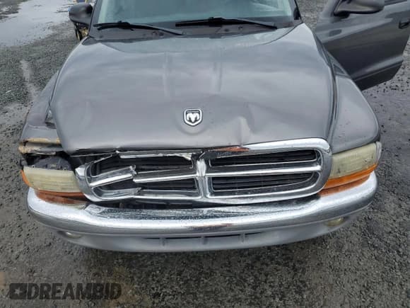 ✅ 2004 Dodge Dakota SLT • VIN: 1D7HG42N24S718101 • Lot: 79378334. Wystawiony na Copart z przebiegiem 165 859 mil. Bezpłatny archiwum sprzedaży aukcyjnych z USA i szczegółowy raport historii pojazdu na DreamBid. Zdjęcie 11.