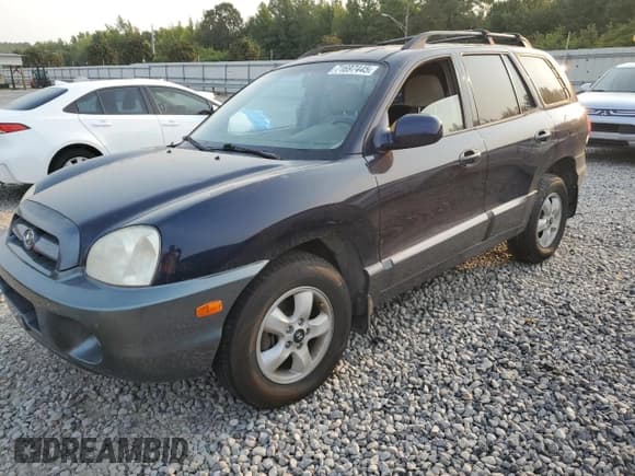 ✅ 2005 Hyundai Santa Fe GLS • VIN: KM8SC13D85U979024 • Lot: 71697445. Listed on Copart with 95,726 mi. Free auction sales archive from the USA and detailed vehicle history report at DreamBid. Image 1.