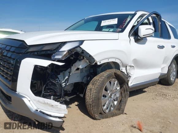 ✅ 2025 Hyundai Palisade SEL • VIN: KM8R24GE8SU868846 • Лот: 41724723. Опубликован ранее на IAAI с пробегом 2 699 миль. Бесплатный доступ к архиву аукционных продаж из США и подробный отчёт об истории автомобиля на DreamBid. Изображение 6.