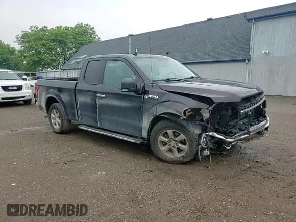 ✅ 2019 Ford F-150 XL • VIN: 1FTEX1EB2KKF31189 • Lot: 59618155. Listed on Copart with 110,245 mi. Free auction sales archive from the USA and detailed vehicle history report at DreamBid. Image 14.