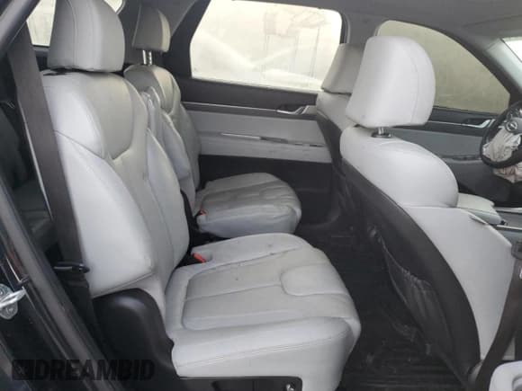 ✅ 2020 Hyundai Palisade SEL • VIN: KM8R4DHE7LU029197 • Лот: 77357774. Опубликован ранее на Copart с пробегом 94 324 миль. Бесплатный доступ к архиву аукционных продаж из США и подробный отчёт об истории автомобиля на DreamBid. Изображение 11.