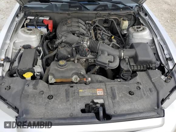 2014 Ford Mustang V6 z VIN 1ZVBP8AM9E5253703, wystawiony jako Copart lot #86166665 z przebiegiem 139 131 mil mil oraz Szkoda całkowita • Salvage title. Historia ofert i sprzedaży dostępna na DreamBid. Obrazek 11.