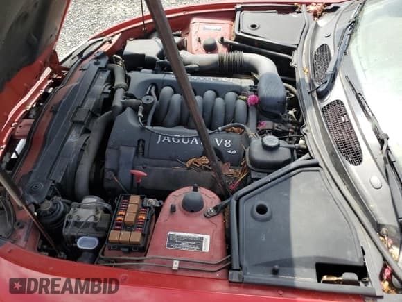 ✅ 1999 Jaguar XK • VIN: SAJGX2044XC038236 • Lot: 81923635. Listed on Copart with 44,616 mi. Free auction sales archive from the USA and detailed vehicle history report at DreamBid. Image 11.