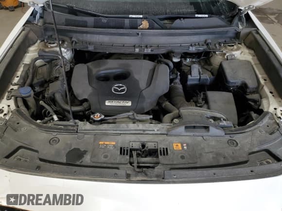 ✅ 2017 Mazda CX-9 Signature • VIN: JM3TCBEY3H0129237 • Лот: 92367785. Опубликован ранее на Copart с пробегом 221 650 миль. Бесплатный доступ к архиву аукционных продаж из США и подробный отчёт об истории автомобиля на DreamBid. Изображение 12.