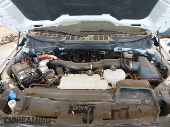 ✅ 2024 Ford F-150 XLT • VIN: 1FTFW3LD3RFB98897 • Lot: 43234632. Wystawiony na IAAI z przebiegiem 14 362 mil. Bezpłatny archiwum sprzedaży aukcyjnych z USA i szczegółowy raport historii pojazdu na DreamBid. Zdjęcie 10.