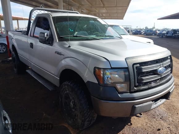 ✅ 2013 Ford F-150 XL • VIN: 1FTMF1EM9DKE19119 • Lot: 43766404. Wystawiony na IAAI z przebiegiem 345 229 mil. Bezpłatny archiwum sprzedaży aukcyjnych z USA i szczegółowy raport historii pojazdu na DreamBid. Zdjęcie 1.