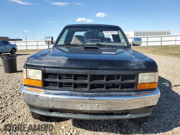 ✅ 1995 Dodge Dakota • VIN: 1B7GG23Y1SS373160 • Лот: 81978235. Опубликован ранее на Copart с пробегом 185 175 миль. Бесплатный доступ к архиву аукционных продаж из США и подробный отчёт об истории автомобиля на DreamBid. Изображение 5.