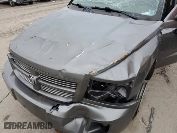 2010 Dodge Dakota SXT with VIN 1D7CW3GP7AS176121, listed as a Copart auction lot 85169354 with Not provided miles and Salvage title. Bid and sale history available at DreamBid. Image 11.