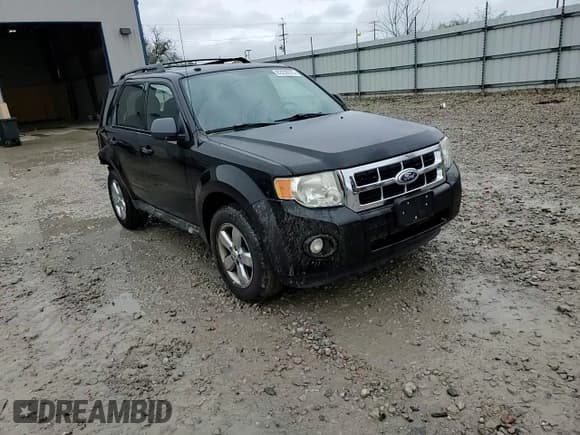 ✅ 2010 Ford Escape XLT • VIN: 1FMCU9DG5AKD05394 • Лот: 82239075. Опубликован ранее на Copart с пробегом 181 559 миль. Бесплатный доступ к архиву аукционных продаж из США и подробный отчёт об истории автомобиля на DreamBid. Изображение 13.