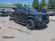 ✅ 2013 Ford F-150 XL • VIN: 1FTFX1EF5DFC97181 • Lot: 42555151. Listed on IAAI with 140,137 mi. Free auction sales archive from the USA and detailed vehicle history report at DreamBid. Image 1.