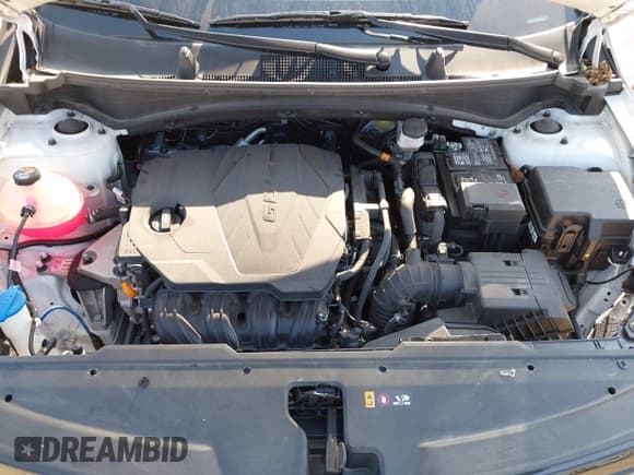 ✅ 2023 Kia Sportage X-Line • VIN: 5XYK6CAF9PG053800 • Lot: 40584400. Listed on IAAI with 25,934 mi. Free auction sales archive from the USA and detailed vehicle history report at DreamBid. Image 10.