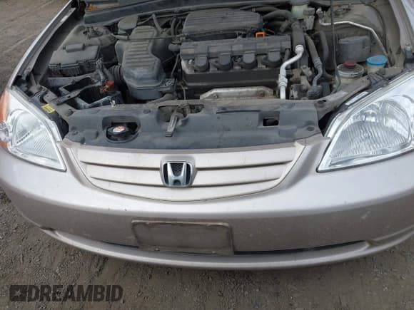 ✅ 2001 Honda Civic LX • VIN: 2HGES15571H559635 • Lot: 43406816. Wystawiony na IAAI z przebiegiem 222 631 mil. Bezpłatny archiwum sprzedaży aukcyjnych z USA i szczegółowy raport historii pojazdu na DreamBid. Zdjęcie 6.