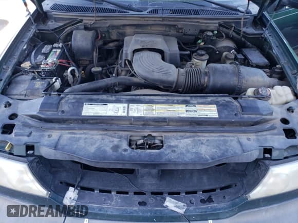 ✅ 1999 Lincoln Navigator • VIN: 5LMPU28LXXLJ13274 • Lot: 44775685. Listed on Copart with 181,834 mi. Free auction sales archive from the USA and detailed vehicle history report at DreamBid. Image 12.