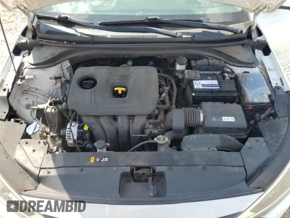 ✅ 2019 Hyundai Elantra SEL • VIN: 5NPD84LFXKH414524 • Lot: 81030695. Listed on Copart with 163,619 mi. Free auction sales archive from the USA and detailed vehicle history report at DreamBid. Image 11.