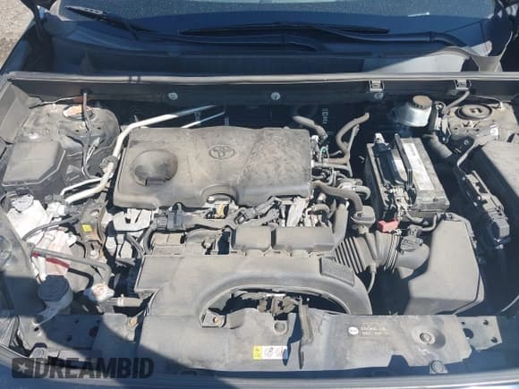 ✅ 2019 Toyota RAV4 XLE • VIN: 2T3W1RFV3KW012477 • Лот: 43271739. Опубликован ранее на IAAI с пробегом 188 136 миль. Бесплатный доступ к архиву аукционных продаж из США и подробный отчёт об истории автомобиля на DreamBid. Изображение 10.