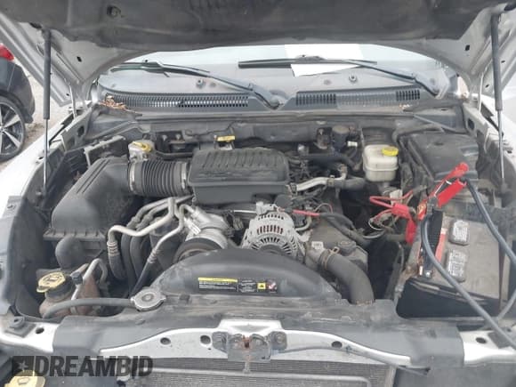 ✅ 2007 Dodge Dakota SLT • VIN: 1D7HE48P77S150303 • Лот: 42342137. Опубликован ранее на IAAI с пробегом 219 528 миль. Бесплатный доступ к архиву аукционных продаж из США и подробный отчёт об истории автомобиля на DreamBid. Изображение 10.